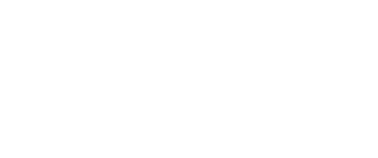 skillnet ireland