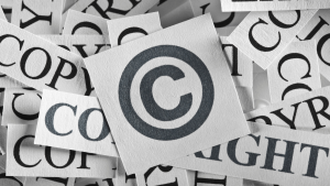 Copyright and Privacy Law for Social Media